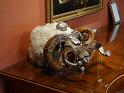 2014_06_Scotland_Day_07_Fort_George_and_Inverness (80)